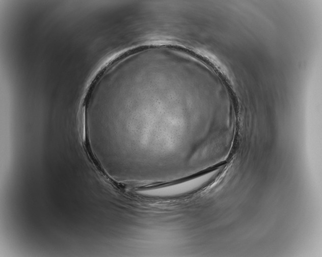 X0000094781175200711301540