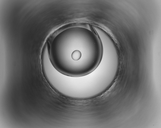 X0000094781176200711301540