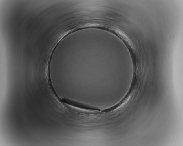 X0000094781177200711301540