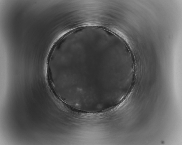 X0000094781179200711301540