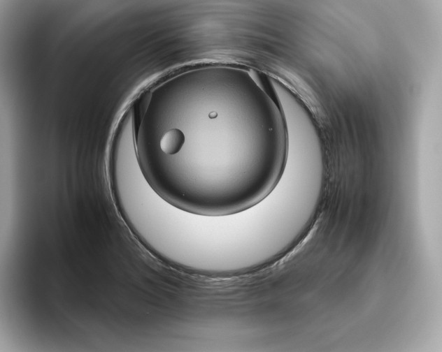 X0000094781180200711301540