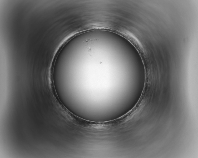 X0000094781182200711301540