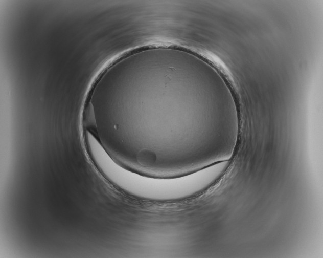 X0000094781183200711301540