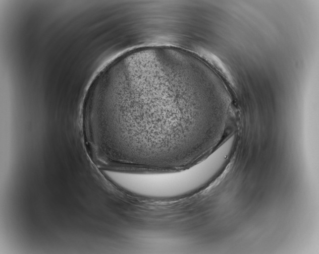 X0000094781184200711301540
