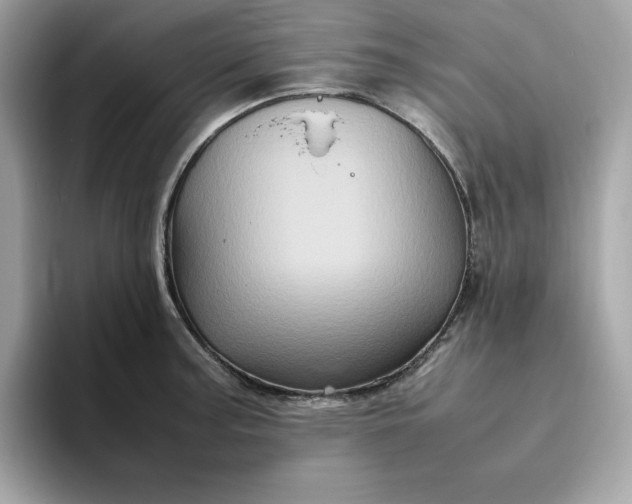 X0000094781187200711301540