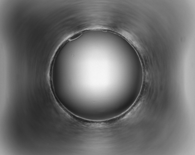 X0000094781189200711301540