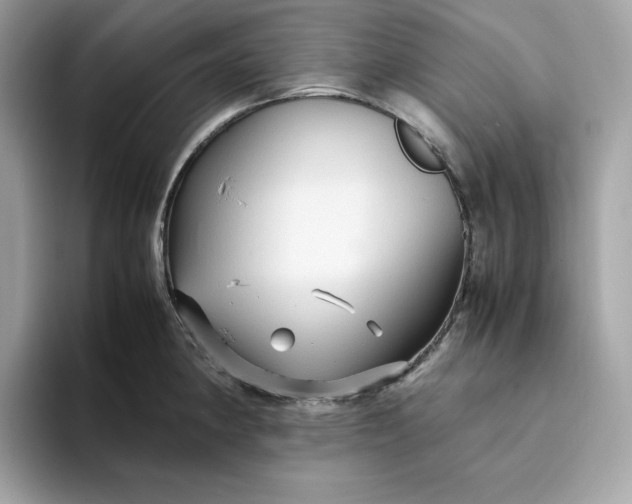 X0000094781190200711301540