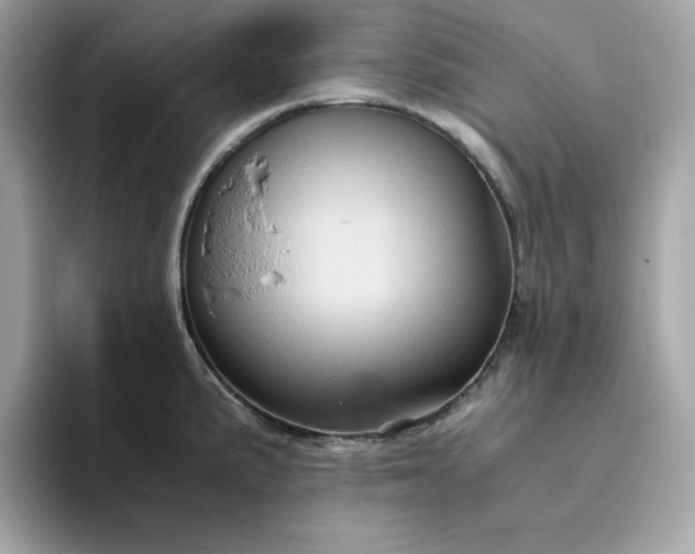 X0000094781191200711301540