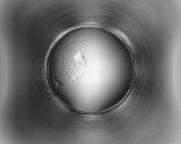 X0000094781192200711301540