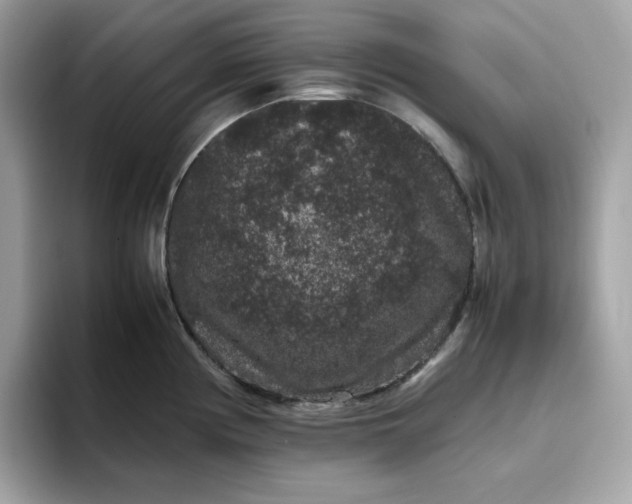 X0000094781194200711301540