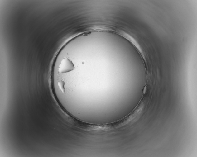 X0000094781195200711301540