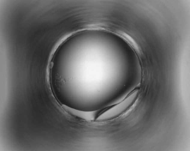 X0000094781196200711301540