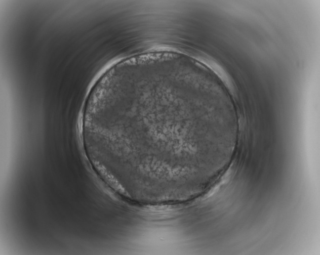 X0000094781198200711301540