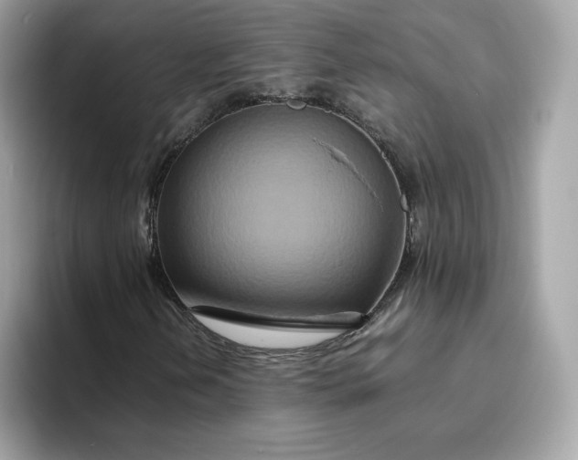 X0000094781202200711301539