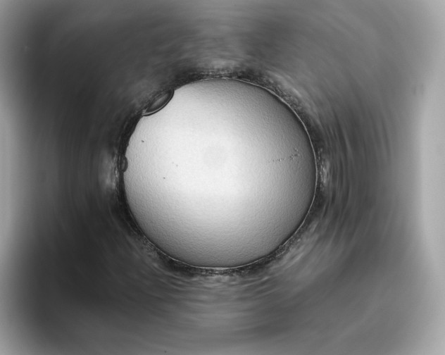 X0000094781204200711301539