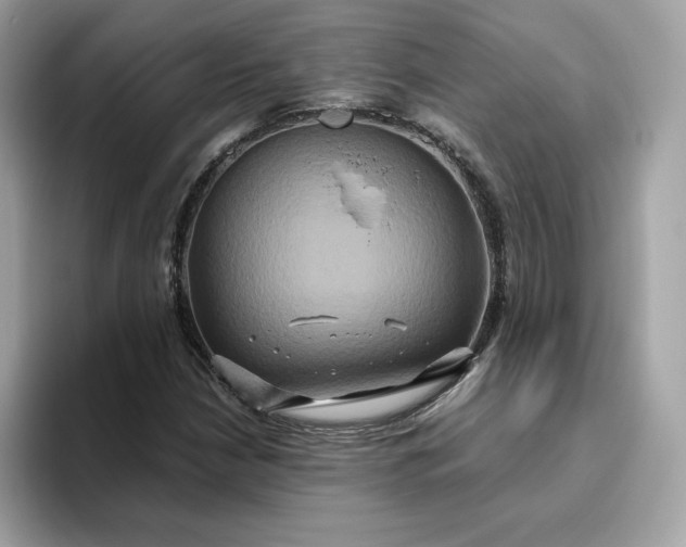 X0000094781210200711301539