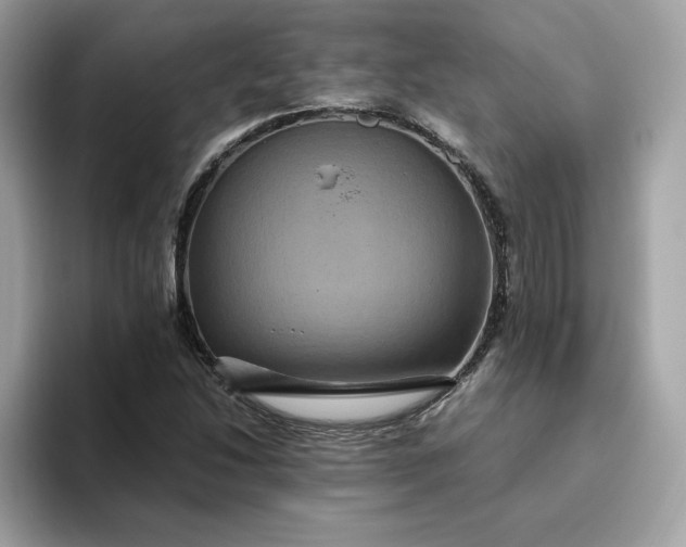 X0000094781214200711301539
