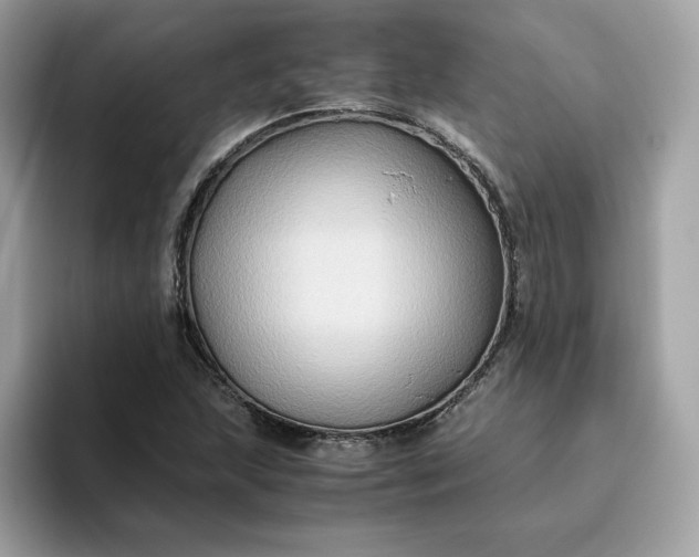 X0000094781215200711301539