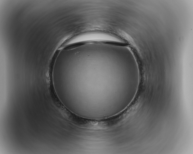 X0000094781218200711301539