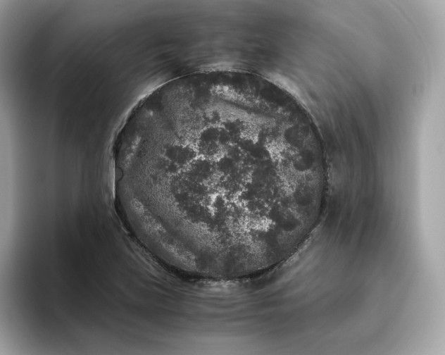 X0000094781219200711301539