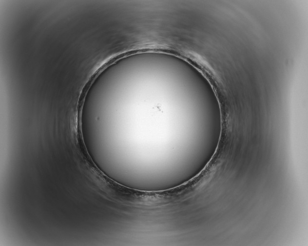 X0000094781220200711301539