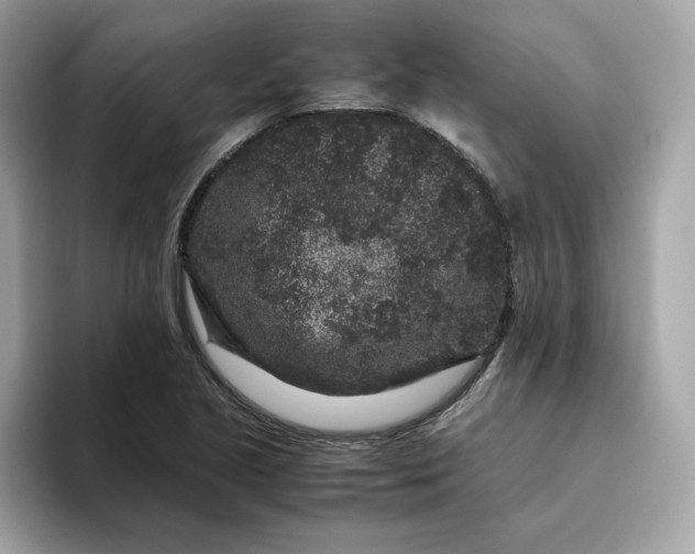 X0000094781221200711301539