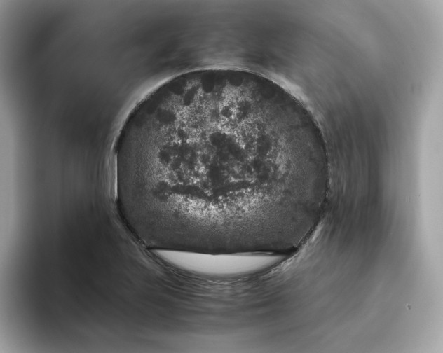 X0000094781223200711301539