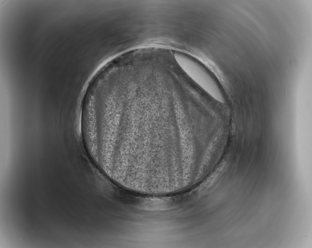 X0000094781224200711301539