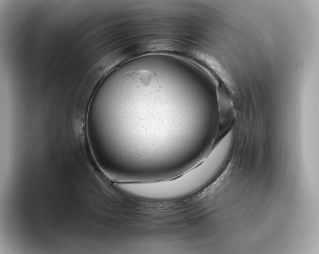 X0000094781225200711301539