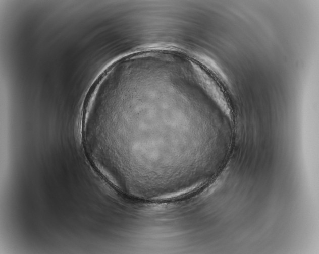 X0000094781228200711301539