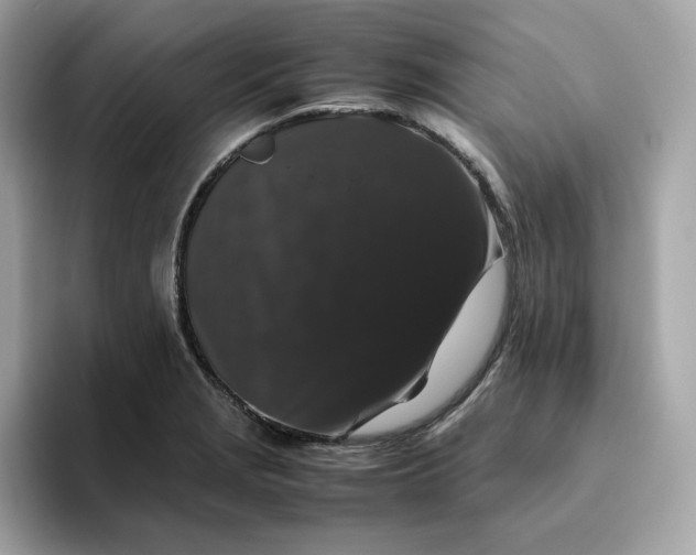 X0000094781229200711301539