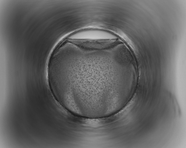 X0000094781232200711301539