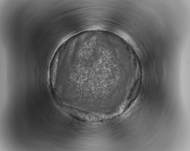 X0000094781234200711301539