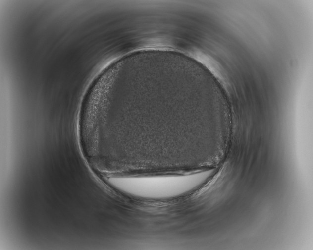 X0000094781237200711301540