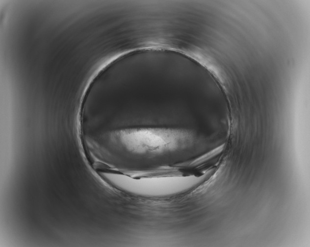 X0000094781239200711301540