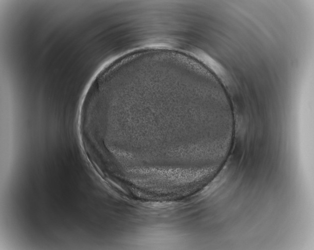 X0000094781240200711301540