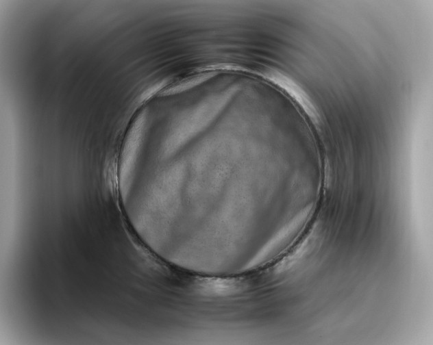 X0000094781241200711301540
