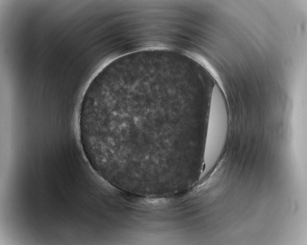 X0000094781243200711301540