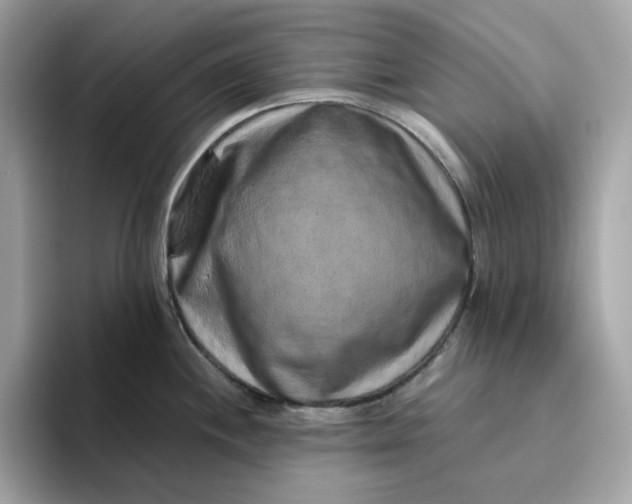 X0000094781244200711301540