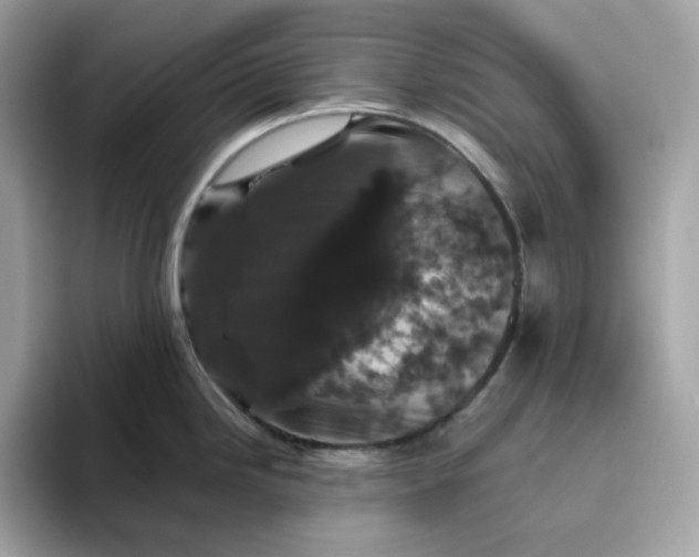 X0000094781246200711301540