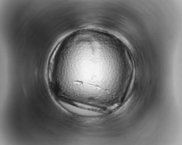 X0000094781247200711301540