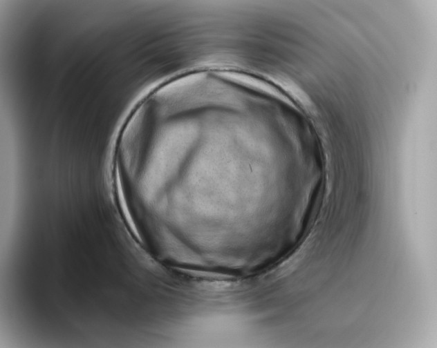 X0000094781248200711301540