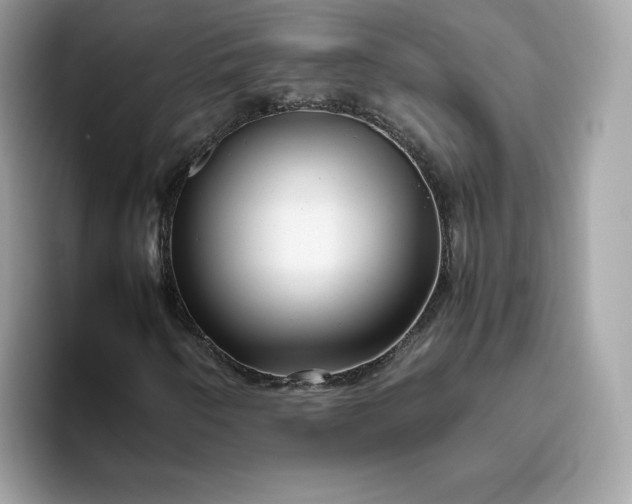 X0000094781250200711301539