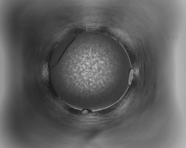 X0000094781252200711301539