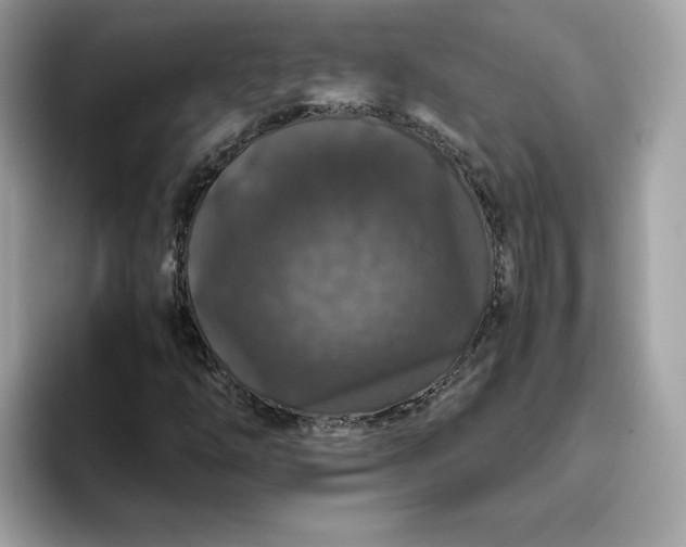 X0000094781254200711301539