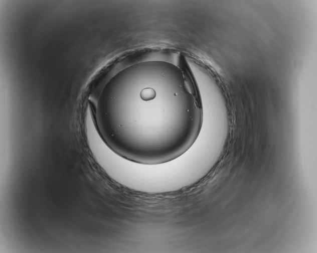 X0000094781256200711301539