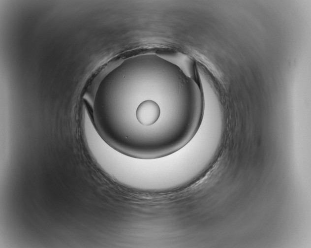 X0000094781261200711301539