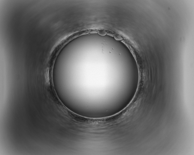 X0000094781262200711301539
