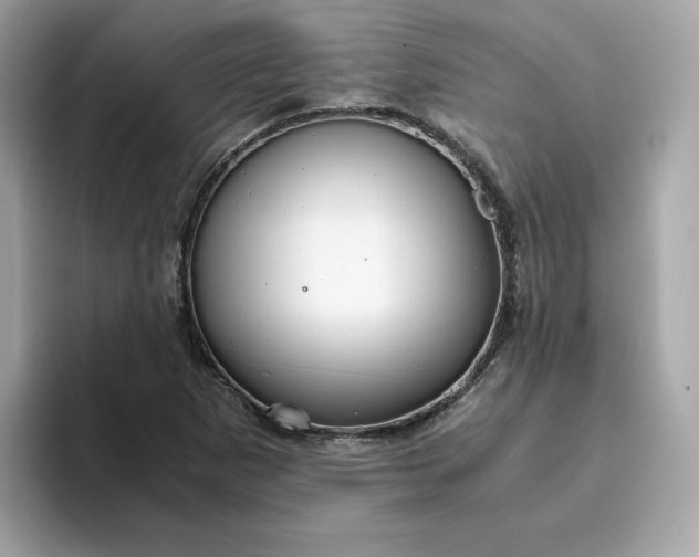 X0000094781265200711301539