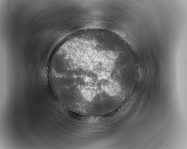 X0000094781266200711301539